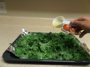 Kale Chips stacked oil