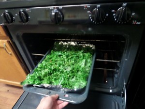 Spicy Kale Chips oven