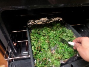 Spicy Kale chips stir