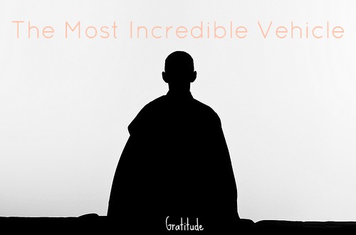 Gratitude Post 8: The Incredible Vehicle