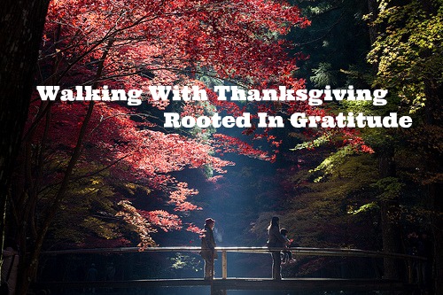Thankfully Giving: Rooted In Gratitude