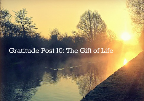Gratitude Post 10: The Gift of Life