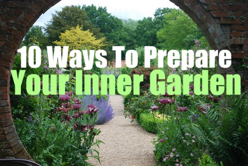 10 Quick Ways To Prepare Your Inner Garden For Spring: Maximizing Your Potential This Season