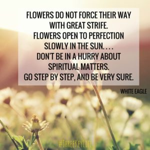 Flowers do not force their way with great strife.Flowers open to perfection slowly in the sun. . . .Don't be in a hurry about spiritual matters.Go step by step, and be very sure.