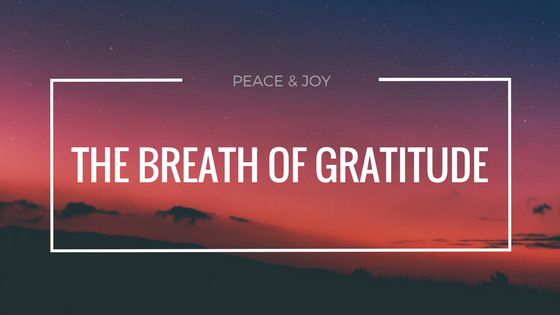 Finding Peace In The Journey: The Breath of Gratitude