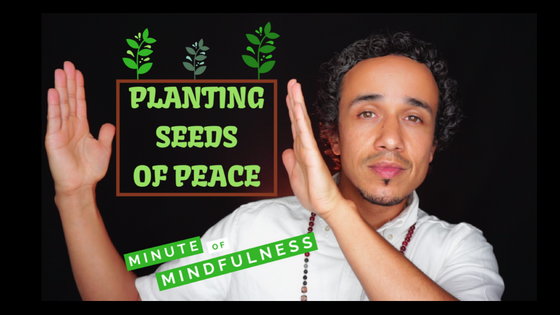 Minute of Mindfulness – Planting Seeds of Peace